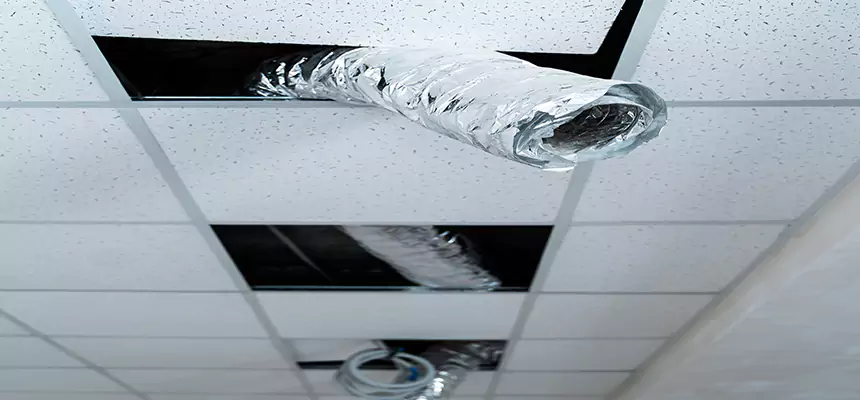 Our Air Duct Pet Hair Removal Services in Donna, TX