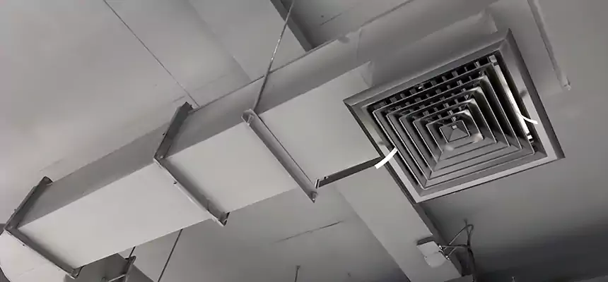 Our Pest Removal From Ducts Services in Donna, TX