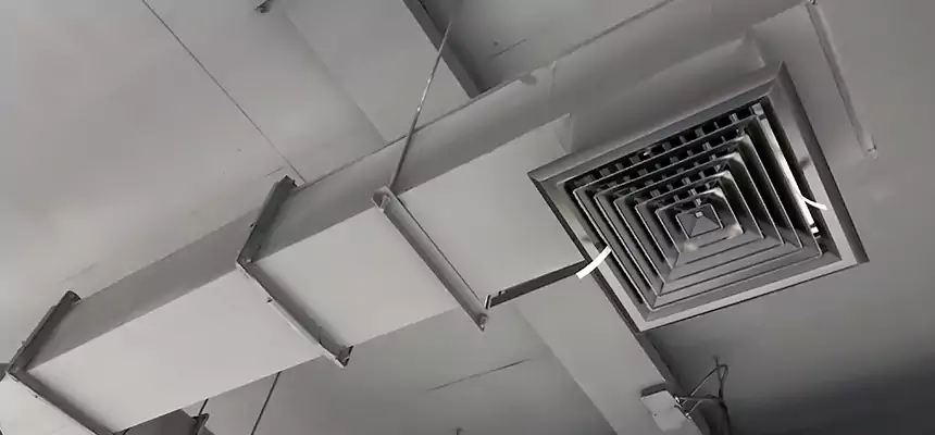 Our Rodent Droppings In Vents Services in Donna, TX