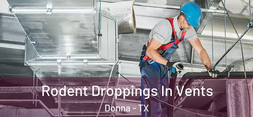  Rodent Droppings In Vents Donna - TX
