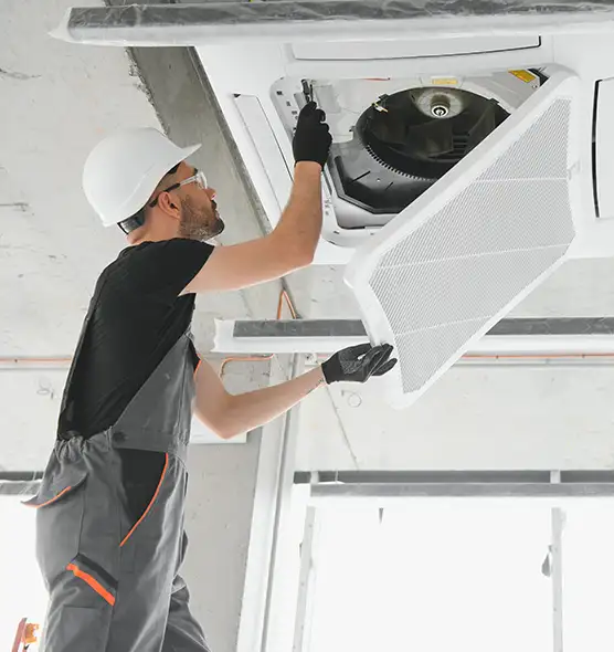 About Air Duct Rodent Removal in Donna, TX