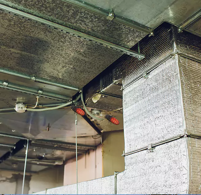 Why Homeowners & Businesses Trust Us in Donna, TX?