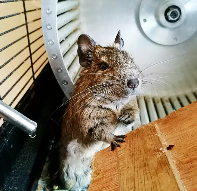 Why Homeowners & Businesses Trust Us Donna, TX?