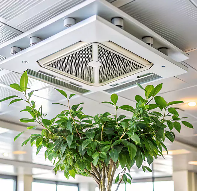 Why Homeowners & Businesses Trust Us in Donna, TX?